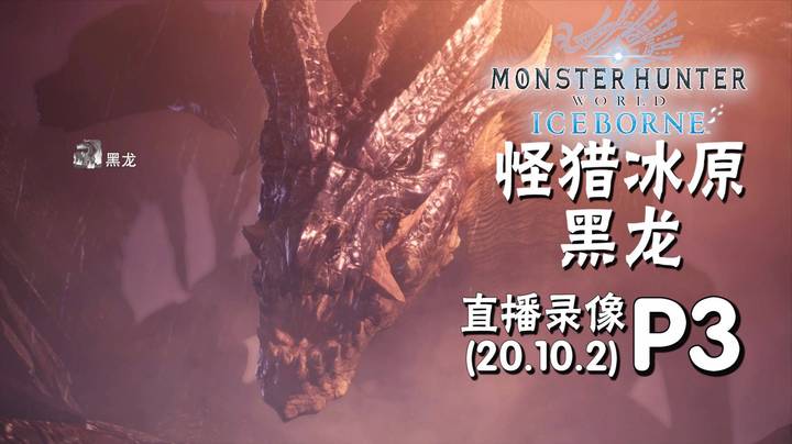 《怪猎冰原 黑龙》 2020-10-02 P3