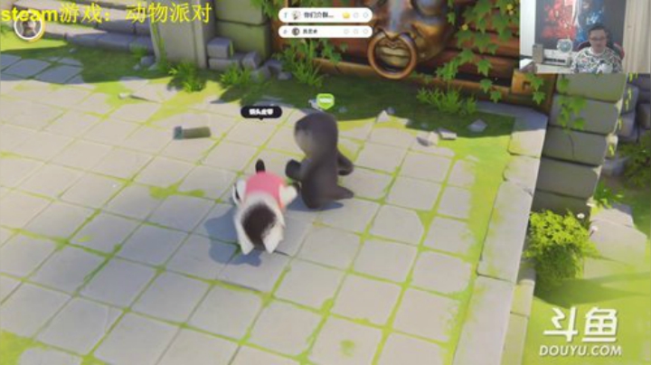 我在斗鱼看异灵术老师直播炉石传说