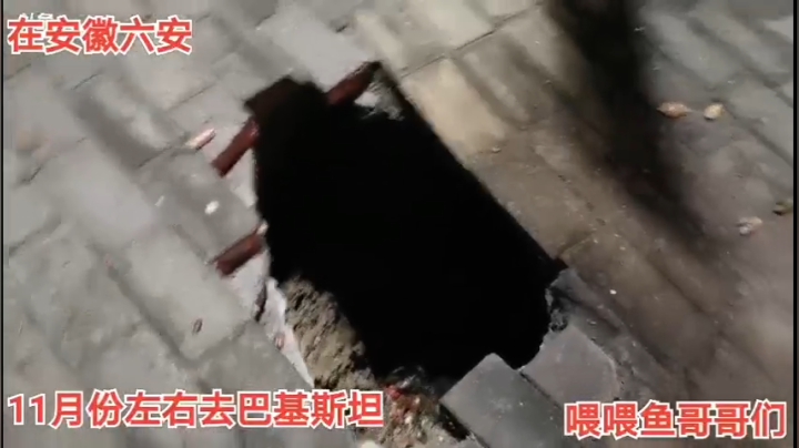 10.14日常吹牛逼