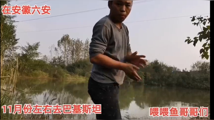 钓鱼