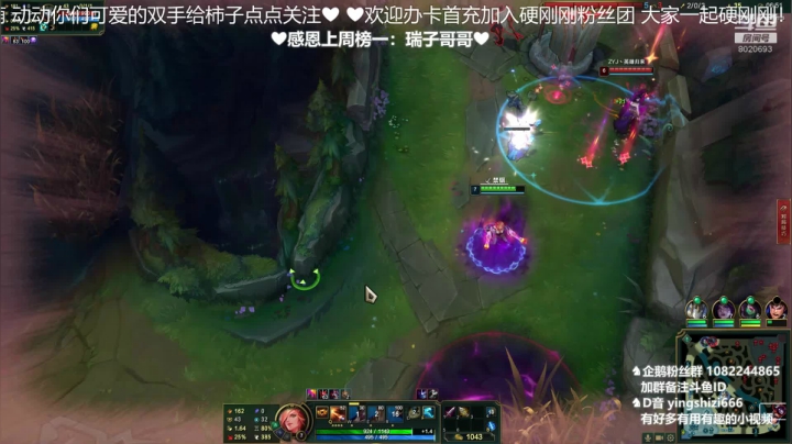 无限快乐的猫咪！ 2020-10-11 08点场