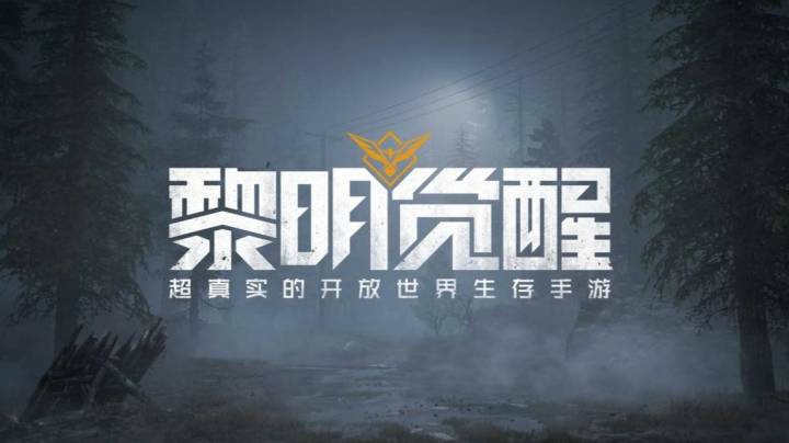 汽车拉力赛宅微笑