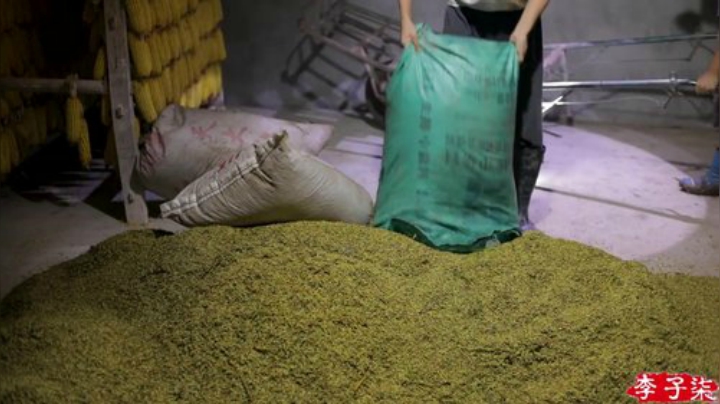 【美食】李子柒liziqi的精彩时刻 20201015 11点场