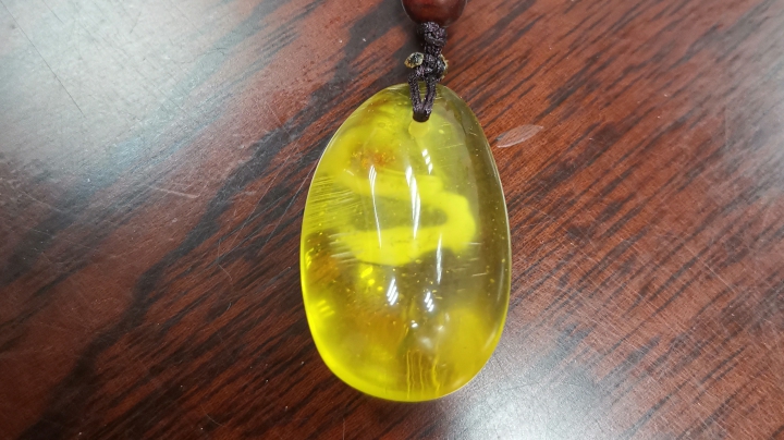 蜜蜡琥珀科普大讲堂