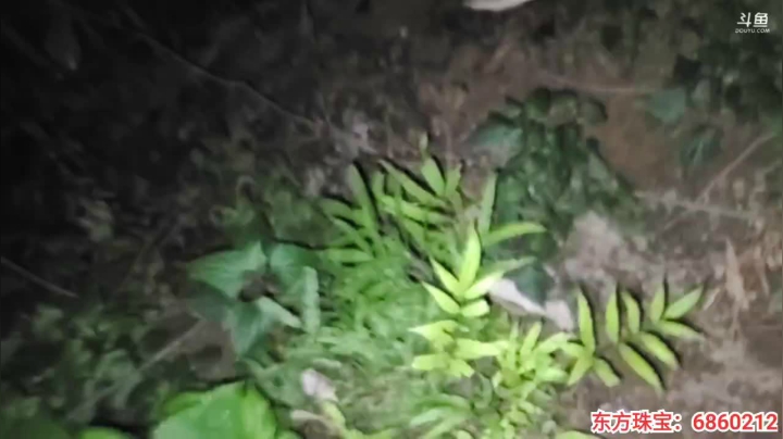 《纪实直播》云南边境怒江40天,鲁掌镇 2020-10-15 21点场