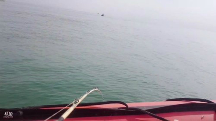 【美食】威海高哥587997的精彩时刻 20201015 09点场