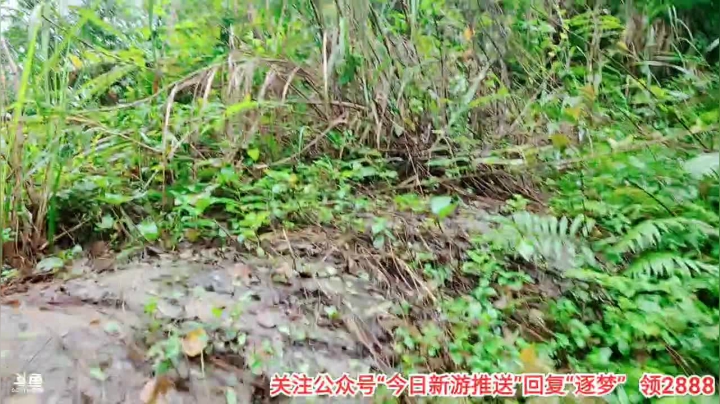 跟着小石头一起翻山越岭2 Day2 2020-10-15 15点场