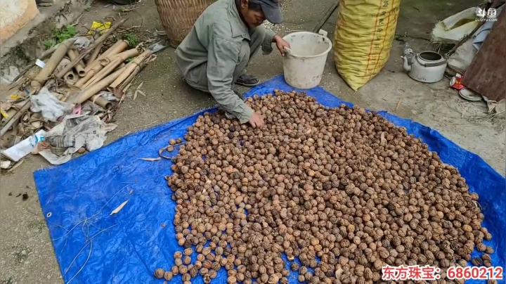 《纪实直播》云南边境怒江41天,鲁掌镇 2020-10-16 10点场