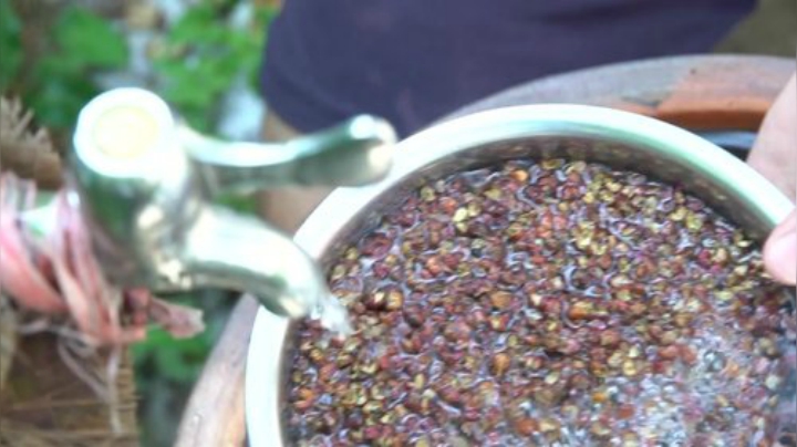 【美食】YESHI小哥的精彩时刻 20201016 11点场