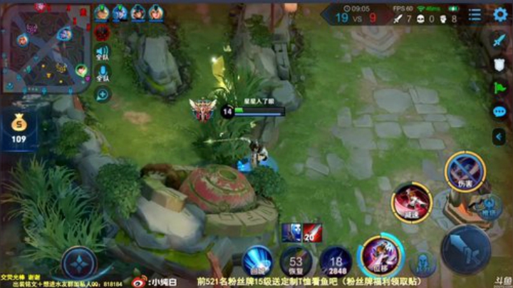 我在斗鱼看纯白直播王者荣耀