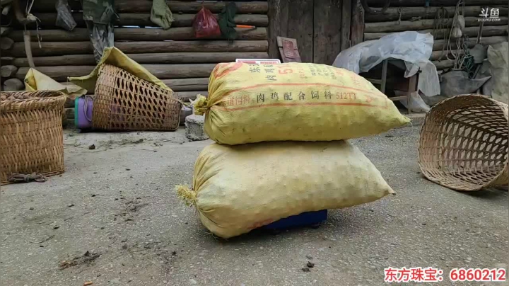 《纪实直播》云南边境怒江41天,鲁掌镇 2020-10-16 11点场