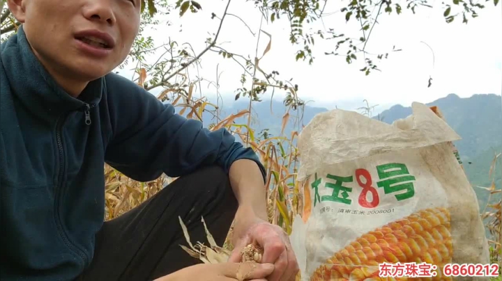 《纪实直播》云南边境怒江41天,鲁掌镇 2020-10-16 13点场