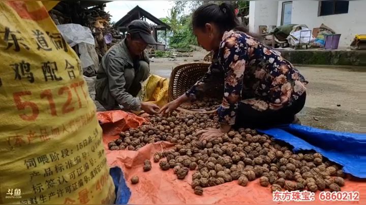 《纪实直播》云南边境怒江41天,鲁掌镇 2020-10-16 08点场