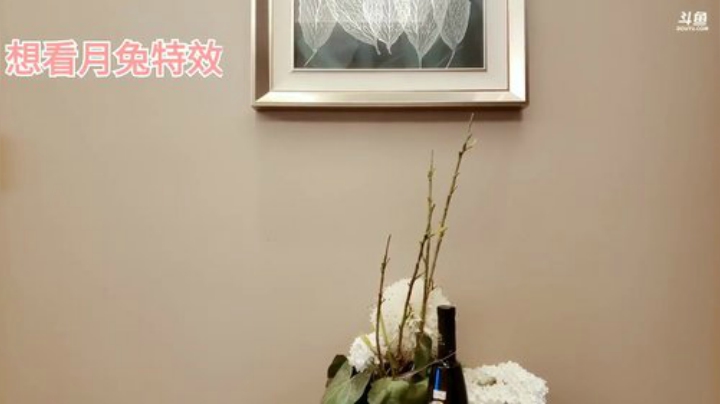 【美食】香菇年丶的精彩时刻 20201016 14点场