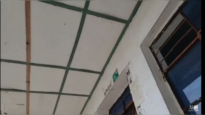 《纪实直播》云南边境怒江42天,收核桃 2020-10-17 10点场