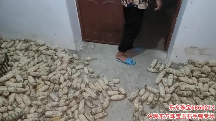 《纪实直播》云南边境怒江41天,鲁掌镇 2020-10-16 21点场