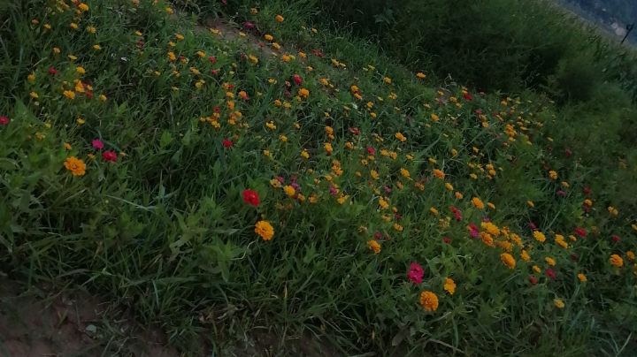 和我一起来躺鸡