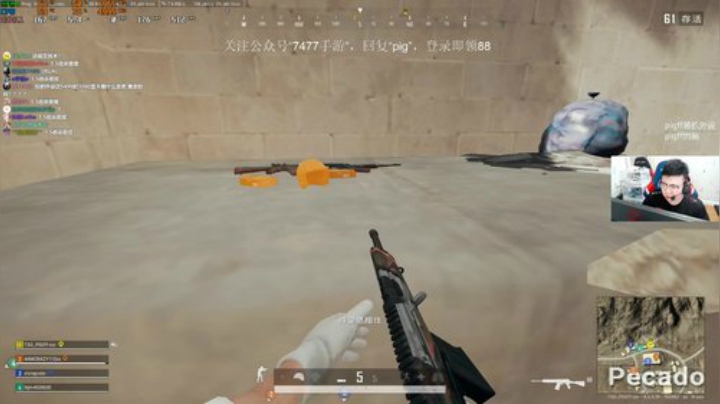 我在斗鱼看pigff直播绝地求生