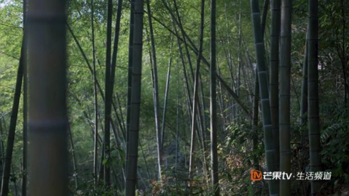 【美食】YESHI小哥的精彩时刻 20201017 11点场