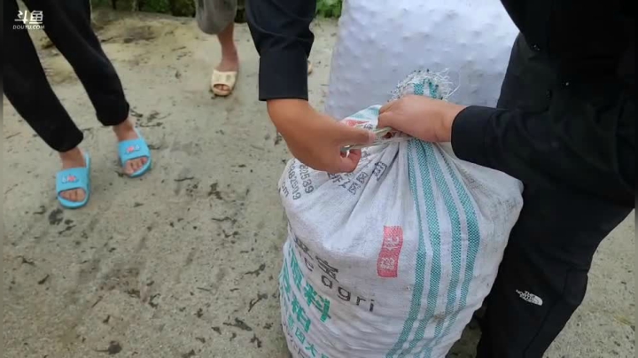 《纪实直播》云南边境怒江43天,收核桃 2020-10-18 12点场