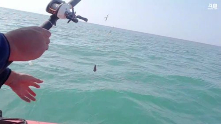 【美食】威海高哥587997的精彩时刻 20201018 12点场