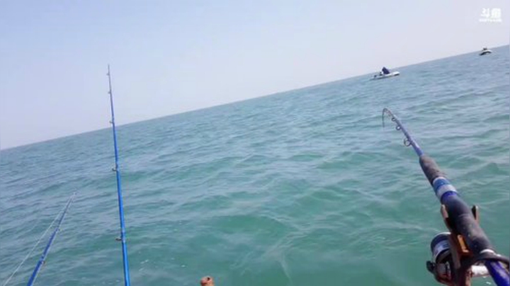 【美食】威海高哥587997的精彩时刻 20201018 11点场