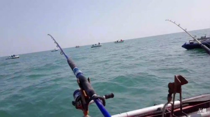 【美食】威海高哥587997的精彩时刻 20201018 11点场