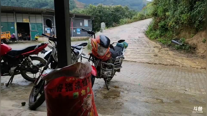 《纪实直播》云南边境怒江44天,收核桃 2020-10-19 12点场