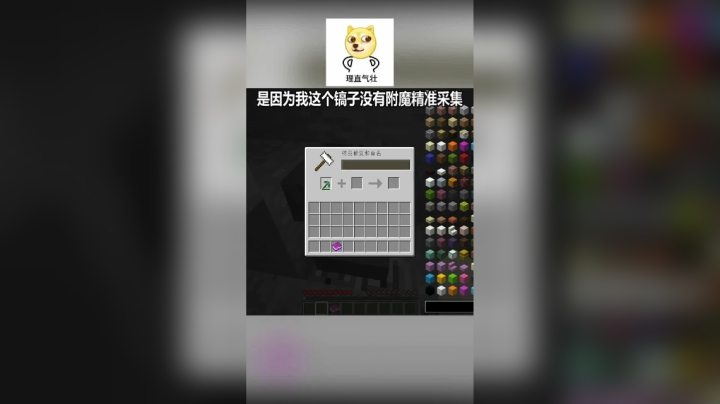【翔凯】我的世界小视频ep1