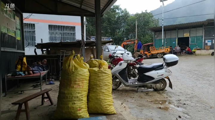 《纪实直播》云南边境怒江44天,收核桃 2020-10-19 16点场