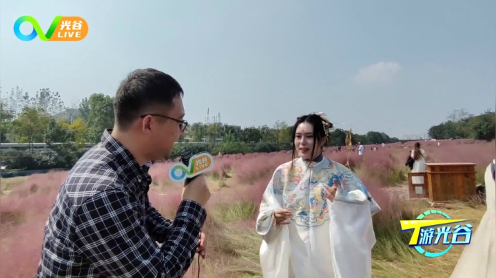 第十五周T游光谷之粉黛子草1019