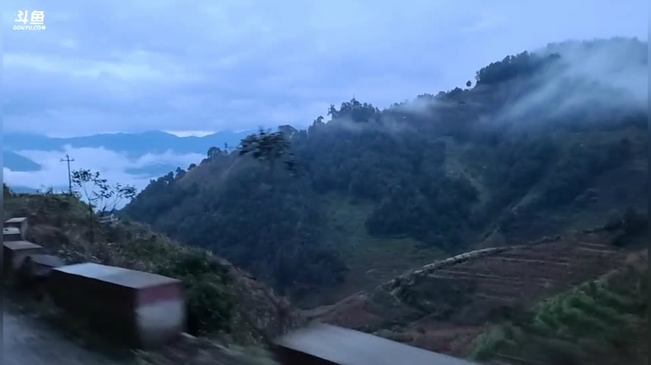 《纪实直播》云南边境怒江44天,收核桃 2020-10-19 18点场