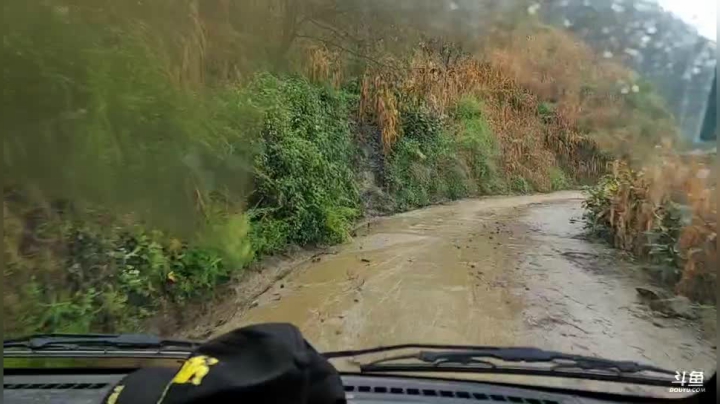 《纪实直播》云南边境怒江44天,收核桃 2020-10-19 10点场