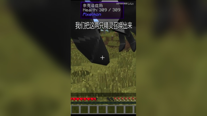 【翔凯】】我的世界开启究极虫洞_720P_HEVC