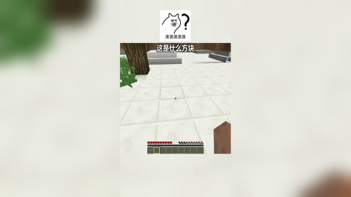 【翔凯】我的世界小视频ep3