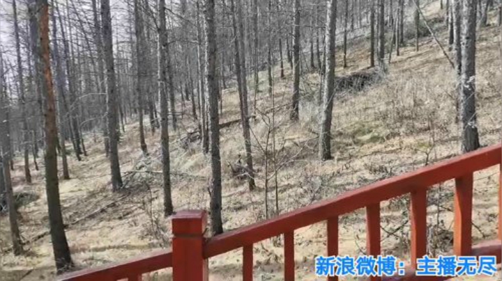 我在斗鱼看无尽无尽的无尽直播美食