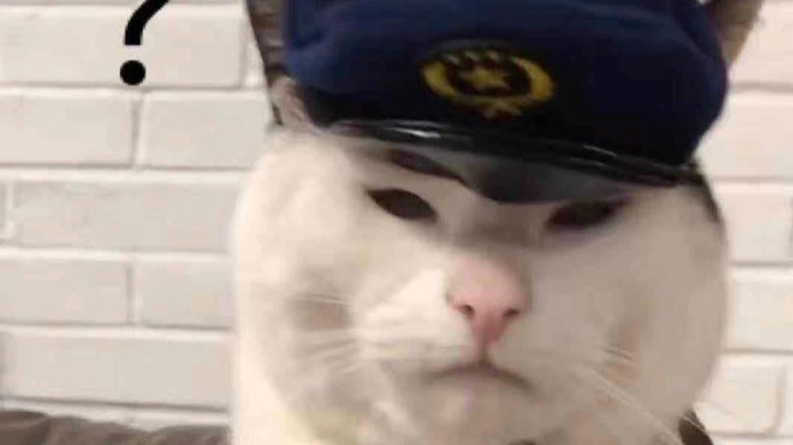 瞎打