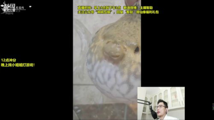 【英雄联盟】智勋勋勋勋的精彩时刻 20201021 09点场