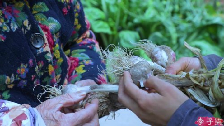 我在斗鱼看李子柒liziqi直播美食