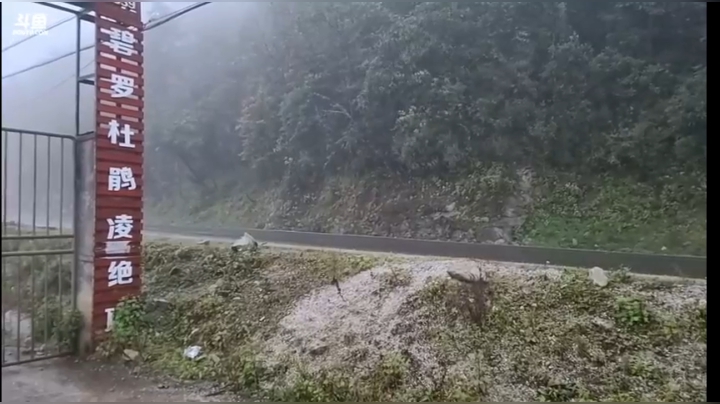 《纪实直播》云南边境怒江48天,兰坪县 2020-10-23 18点场