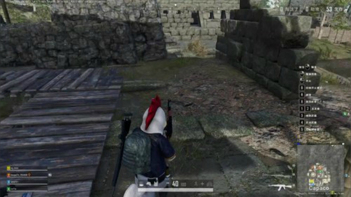 我在斗鱼看DL丶拖米直播王者荣耀