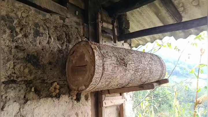 《纪实直播》云南边境怒江48天,兰坪县 2020-10-23 12点场