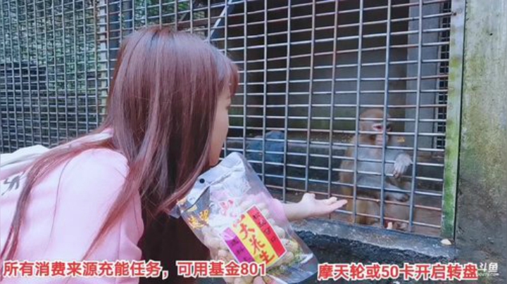 【户外】百变姑姑肖淑洁的精彩时刻 20201024 13点场
