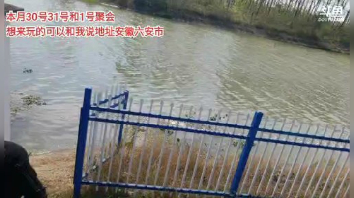 【户外】超哥户外打野的精彩时刻 20201024 12点场