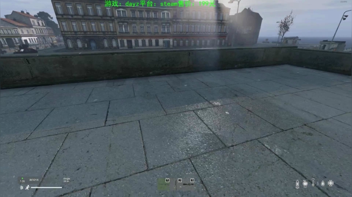 dayz(我是一个好人请不要ban我） 2020-10-23 15点场