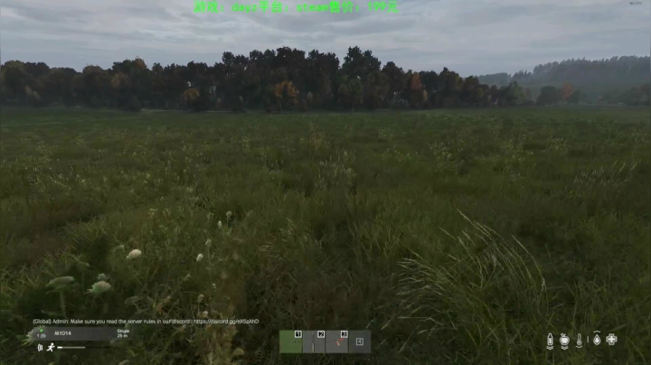 dayz(我是一个好人请不要ban我） 2020-10-23 17点场