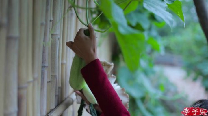 【美食】李子柒liziqi的精彩时刻 20201024 16点场