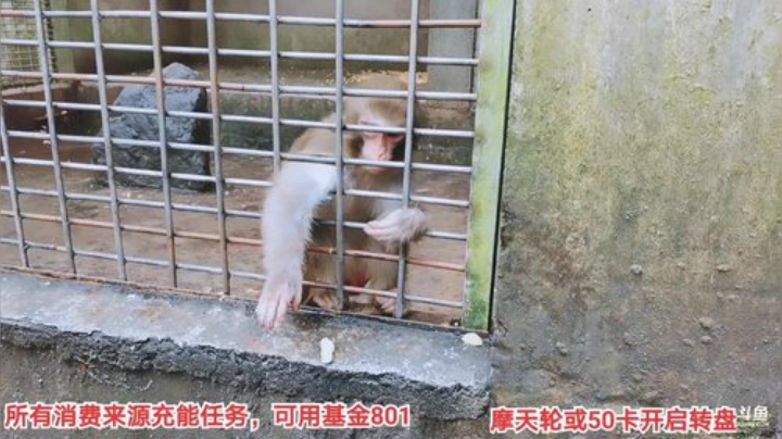 【户外】百变姑姑肖淑洁的精彩时刻 20201024 13点场