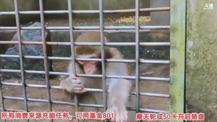 【户外】百变姑姑肖淑洁的精彩时刻 20201024 13点场