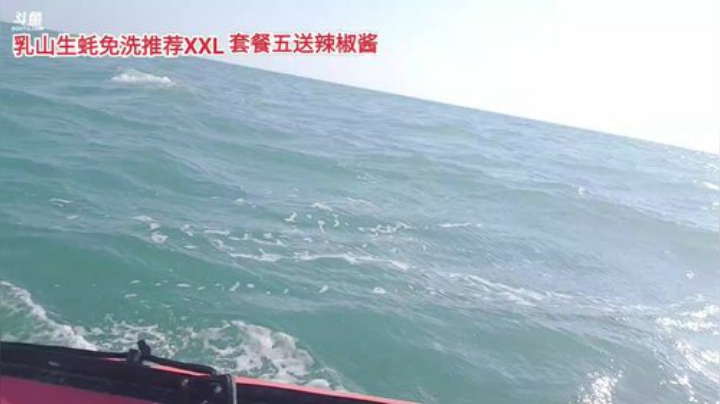 【美食】威海高哥587997的精彩时刻 20201024 13点场